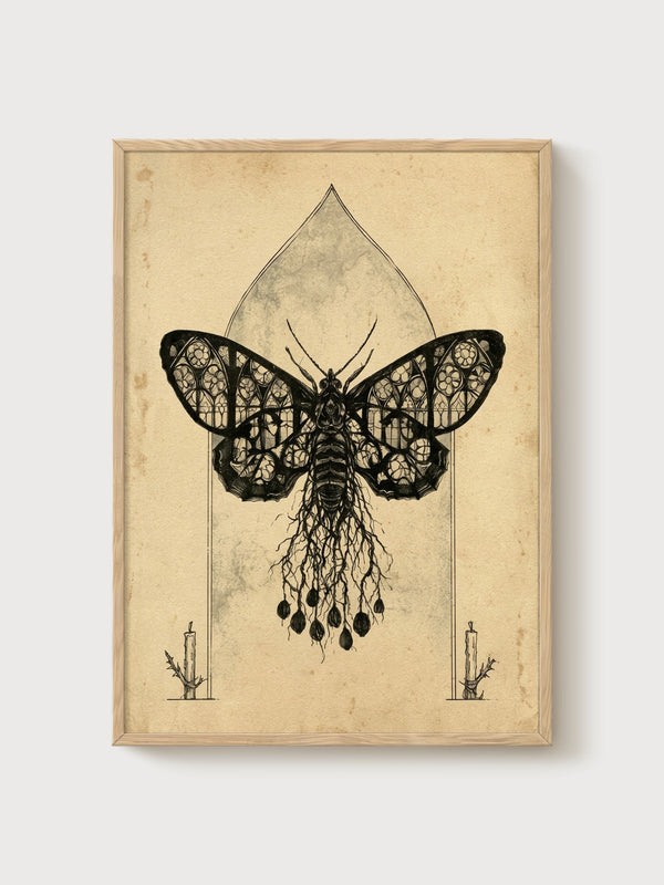 Gothic Moth Cathedral Window Print poster in oak frame