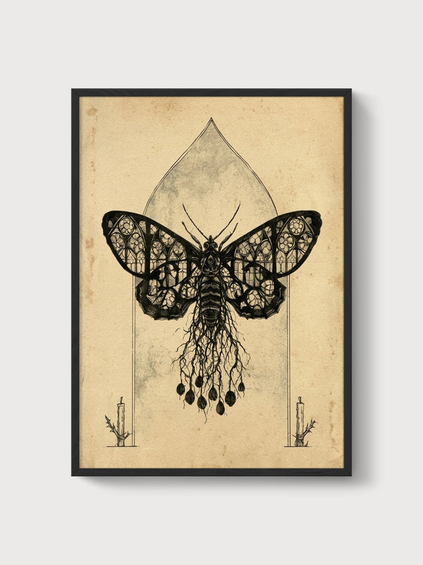 Gothic Moth Cathedral Window Print poster in black frame