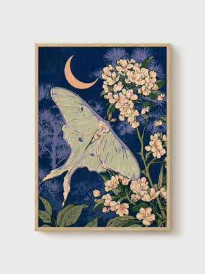 Luna Moth Art Nouveau Print poster in oak frame