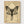 Gothic Moth Wall Art poster in oak frame