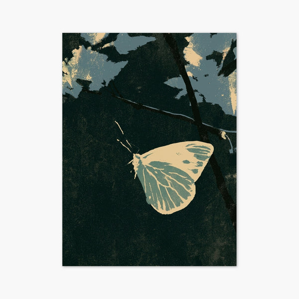 Butterfly Wall Art art print
