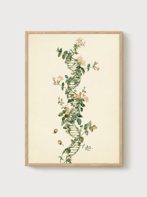 Botanical Wall Art poster in oak frame