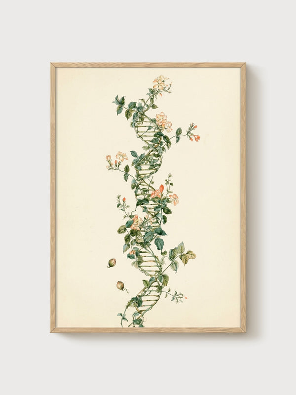 Botanical Wall Art poster in oak frame