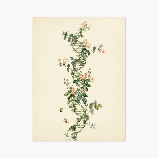 Botanical Wall Art art print