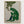 Frog Poster poster in oak frame