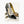 Chic Poster of High Heels art print