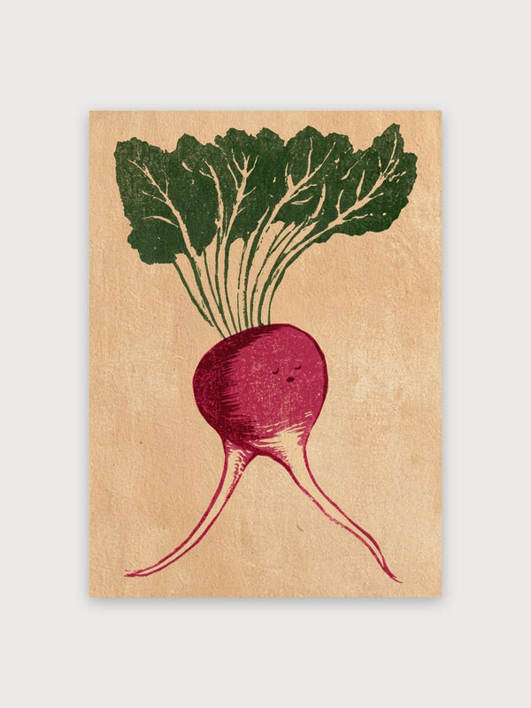 Vintage Beet Root Botanical - Digital Download