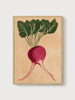 Vintage Radish Botanical Print poster in oak frame