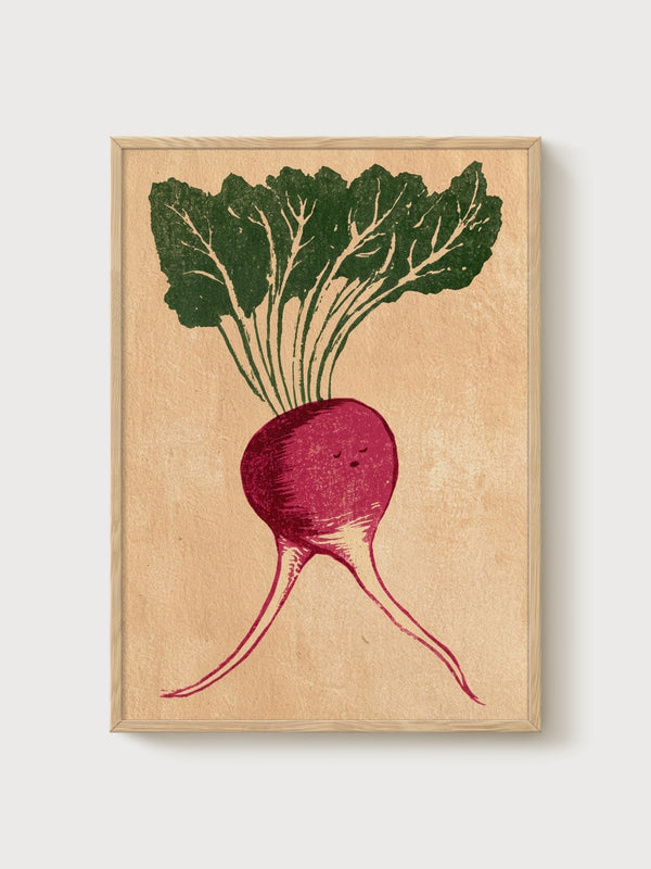 Vintage Radish Botanical Print poster in oak frame