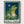 Fancy Frog Poster poster in black frame