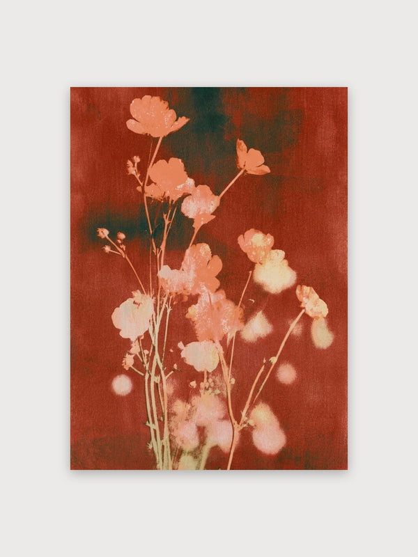 Vintage Carnation Floral Study - Digital Download