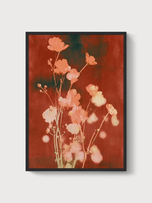 Vintage Botanical Flower Print poster in black frame