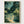 Firefly Stream Nocturnal Garden Print poster in oak frame