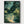Firefly Stream Nocturnal Garden Print poster in black frame