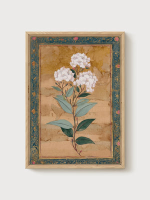 Botanical Wall Art poster in oak frame