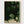 Dark Green Leaves Photography Print poster in oak frame