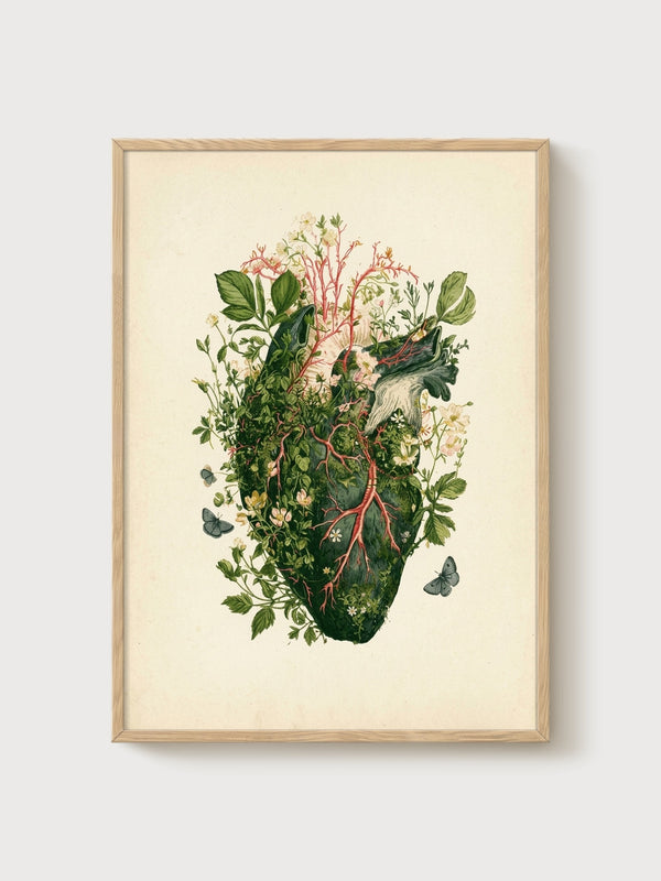 Anatomical Heart Botanical Print poster in oak frame