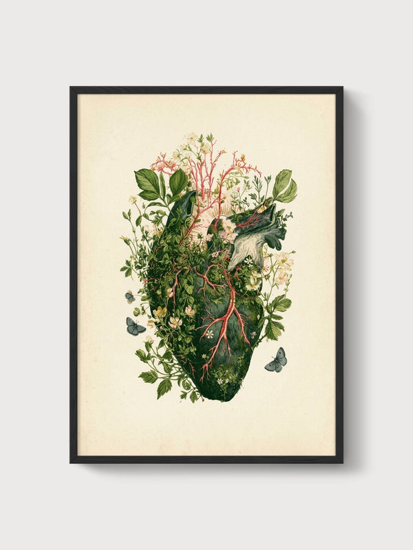 Anatomical Heart Botanical Print poster in black frame
