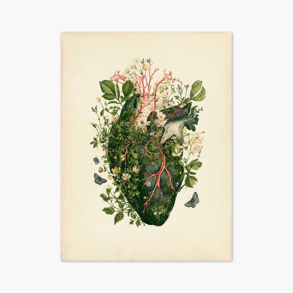 Anatomical Heart Botanical Print art print