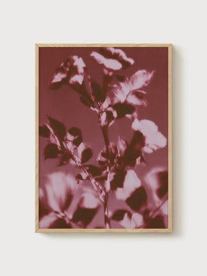 Watercolor Flowers Print poster in oak frame
