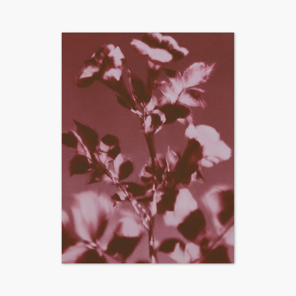 Watercolor Flowers Print art print