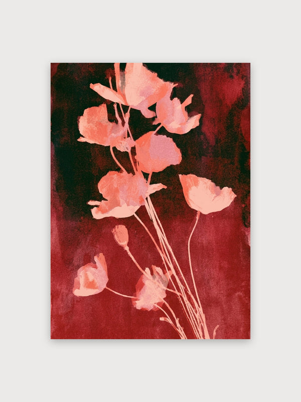 Watercolor Poppies Dark Romance - Digital Download