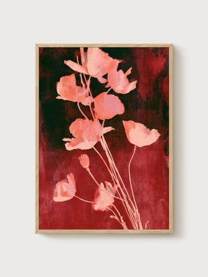 Poppy Print poster in oak frame