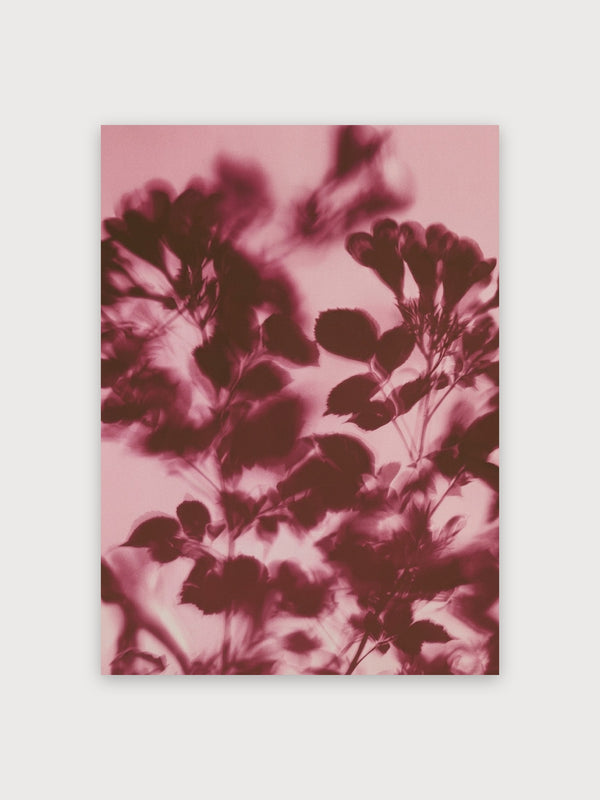 Pink Botanical Floral Silhouettes - Digital Download