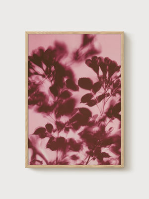 Watercolor Flowers Botanical Print poster in oak frame
