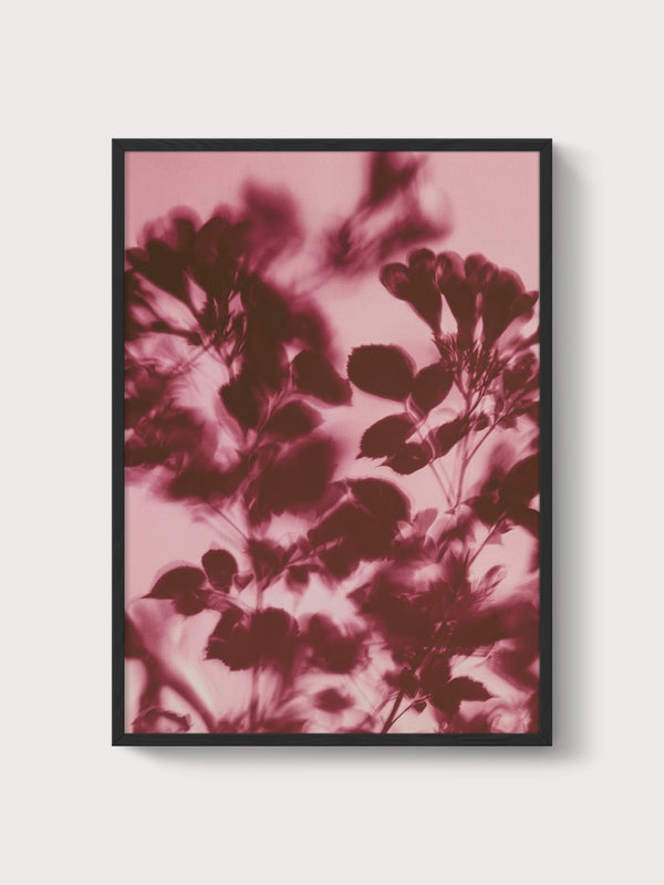 Watercolor Flowers Botanical Print poster in black frame