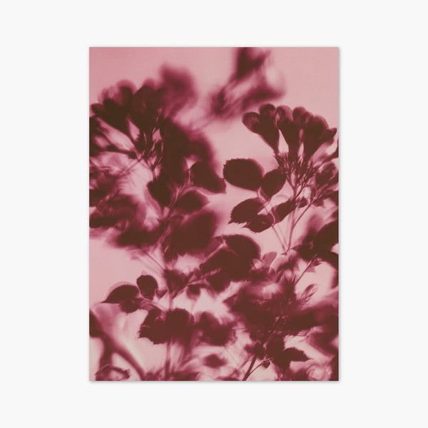 Watercolor Flowers Botanical Print art print