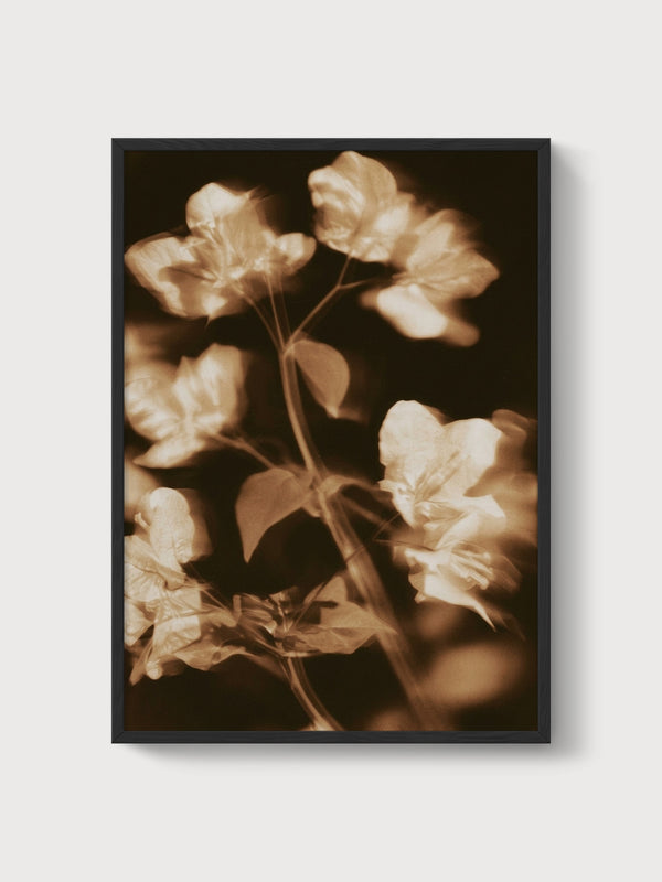 Vintage Sepia Flower Print poster in black frame