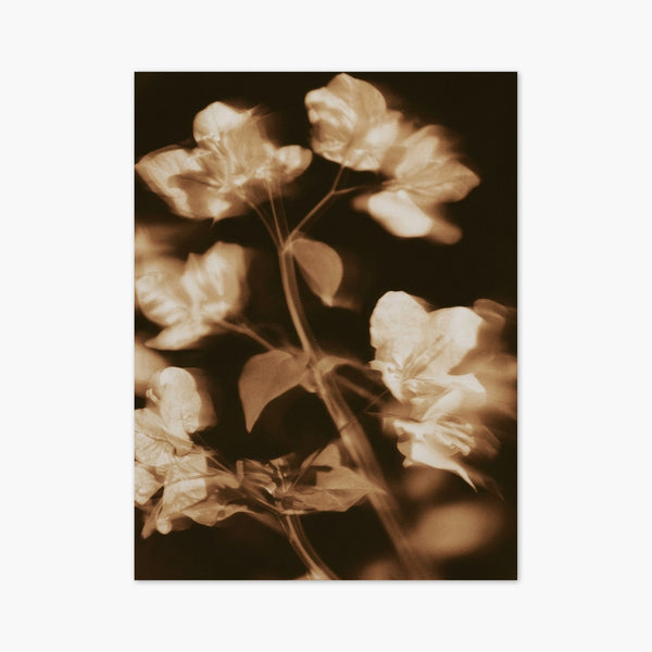 Vintage Sepia Flower Print art print
