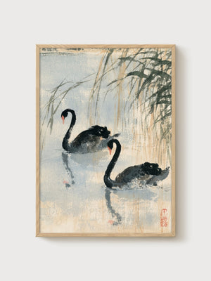 Black Swan Ink Wash Painting poster in oak frame