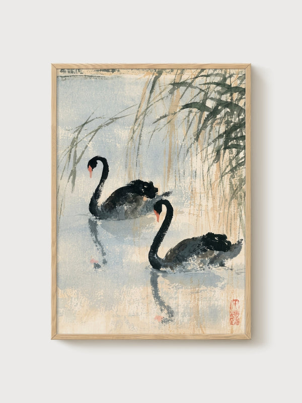 Black Swan Ink Wash Painting poster in oak frame