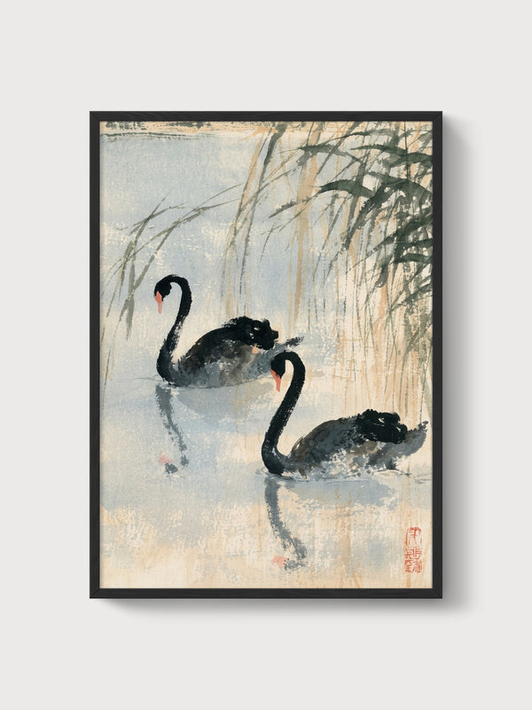 Black Swan Ink Wash Painting poster in black frame