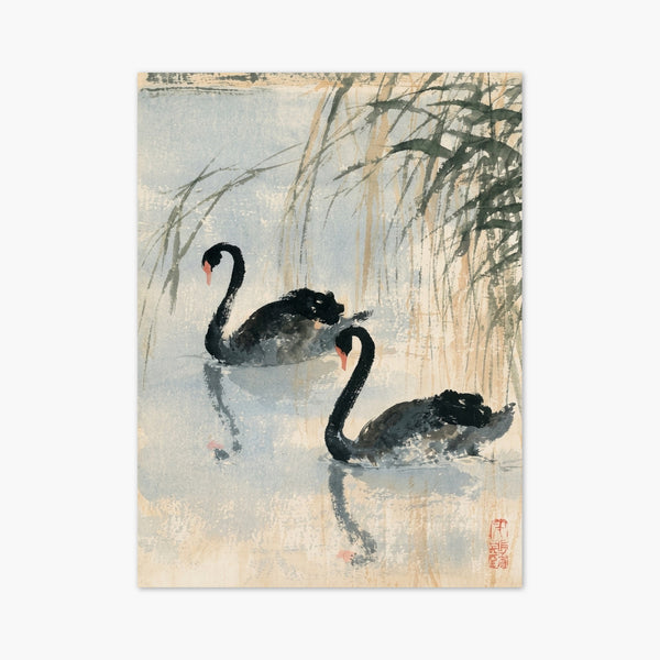 Black Swan Ink Wash Painting art print