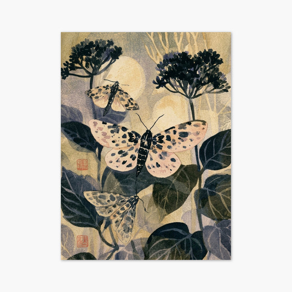Japanese Moth Botanical Print art print