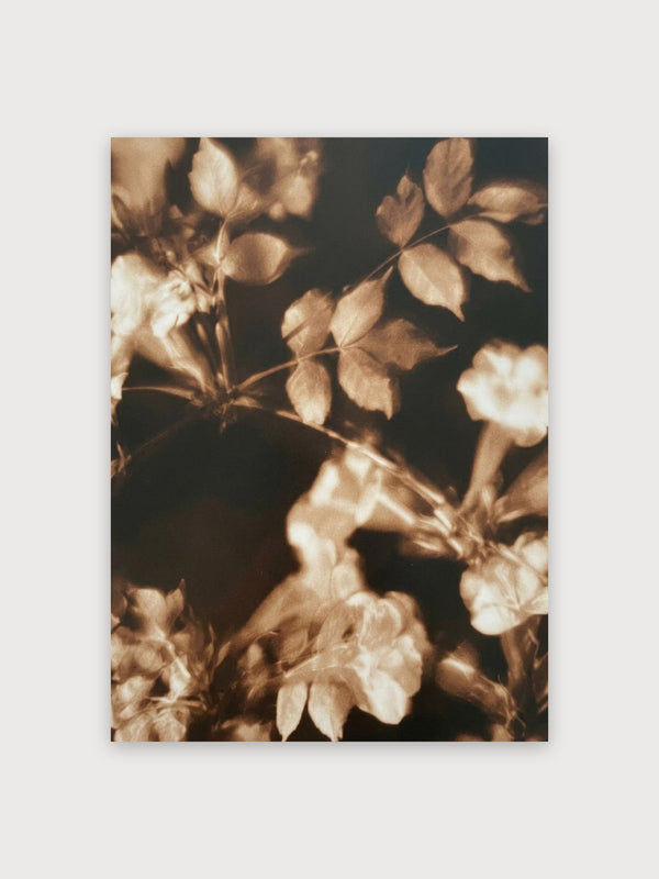 Vintage Botanical Florals Study - Digital Download