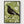 Folk Art Blackbird Print poster in black frame