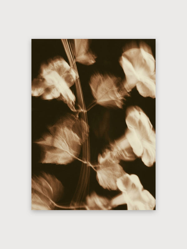 Vintage Sepia Flowers Study - Digital Download