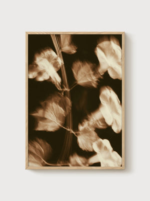 Vintage Botanical Print poster in oak frame