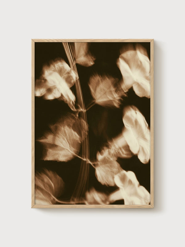 Vintage Botanical Print poster in oak frame