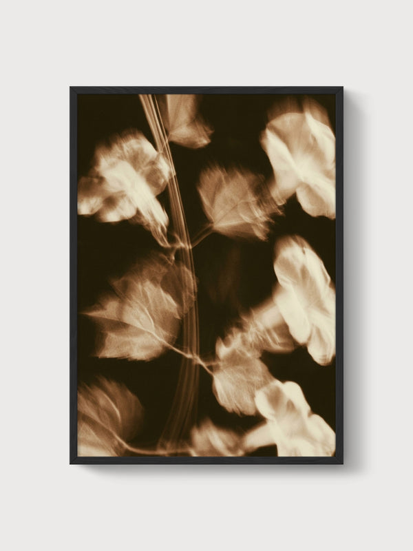 Vintage Botanical Print poster in black frame