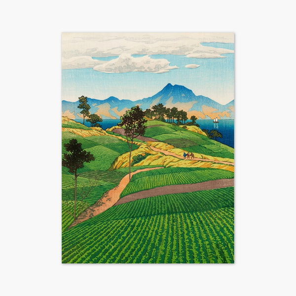 Japanese Woodblock Art Print art print