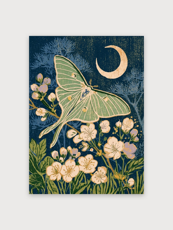 Moonlit Butterfly Nocturnal Flowers - Digital Download