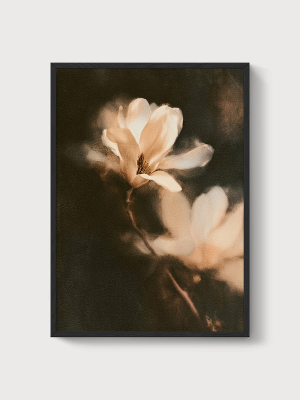 Magnolia Watercolor Painting poster in black frame