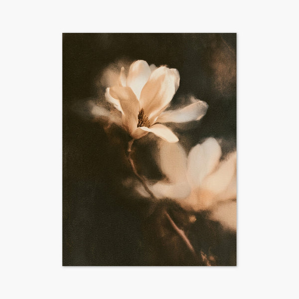 Magnolia Watercolor Painting art print