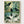 Vintage Bird Print poster in oak frame