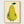 Pear Wall Art poster in oak frame